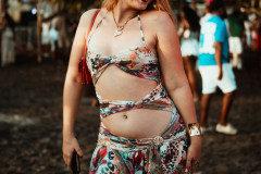 DSC06419