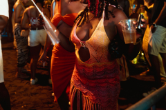 DSC06551