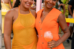 DSC04987