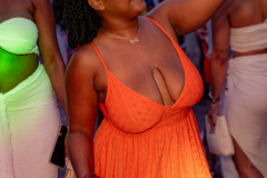 DSC05239