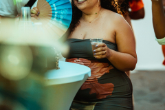 DSC04124