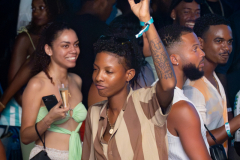 LA-WIF-La-Havana-x-Kimany-Studio-SKM-146