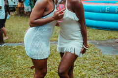 DSC00530