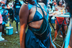 DSC00611