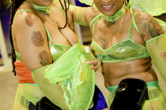 DSC_0282