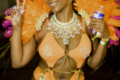 DSC_0295