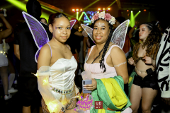 DSC_0320