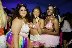 DSC_8888