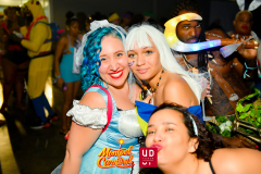 DSC_3882