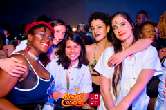 DSC_6136