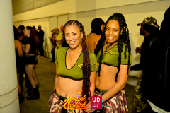 DSC_6531