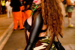 DSC_6593