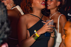 DSC06019
